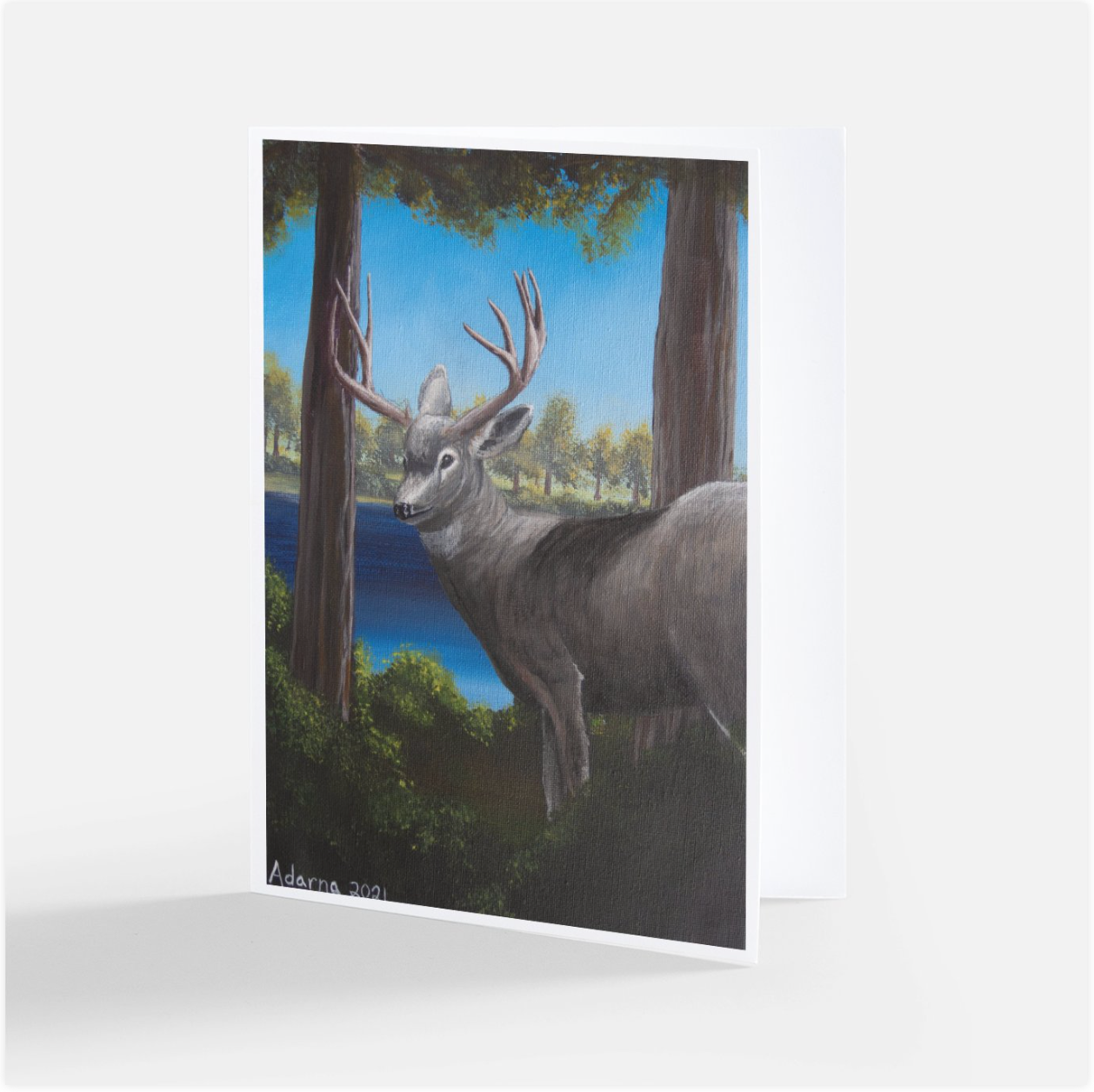 Forest Scenes Notecard Set