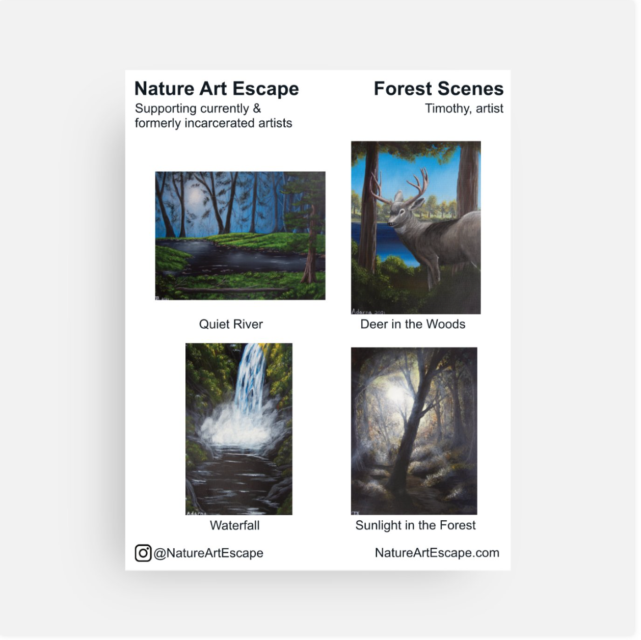 Forest Scenes Notecard Set