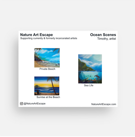 Ocean Scenes Notecards