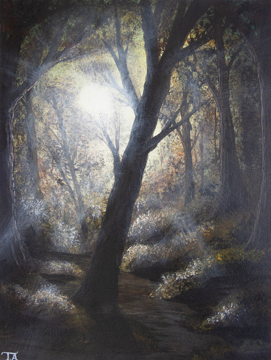 Sunlight in the Forest- Original Painting